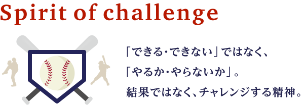 Spirit of challenge